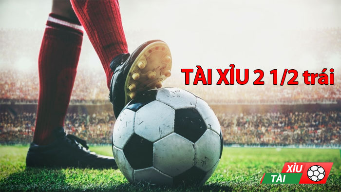 cách đánh kèo tài xỉu 2 1/2 trái